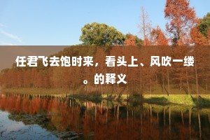 任君飞去饱时来，看头上、风吹一缕。的释义