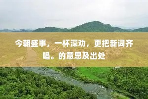 今朝盛事，一杯深劝，更把新词齐唱。的意思及出处