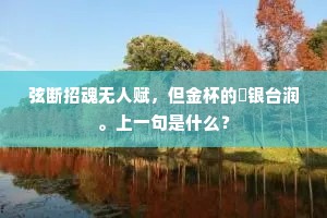 弦断招魂无人赋，但金杯的皪银台润。上一句是什么？