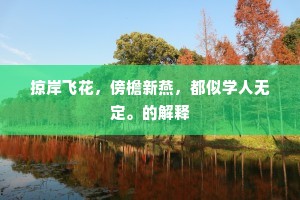掠岸飞花，傍檐新燕，都似学人无定。的解释