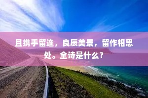 且携手留连，良辰美景，留作相思处。全诗是什么？