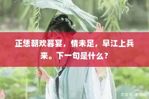 正恁朝欢暮宴，情未足，早江上兵来。下一句是什么？