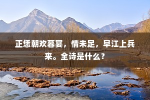 正恁朝欢暮宴，情未足，早江上兵来。全诗是什么？