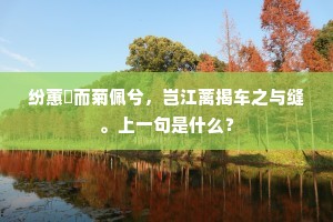 纷蕙纕而菊佩兮，岂江蓠揭车之与缝。上一句是什么？