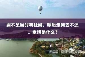 君不见当时韦杜间，呼鹰走狗去不还。全诗是什么？