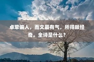 卓荦偏人，而文最有气，所得颇经奇。全诗是什么？