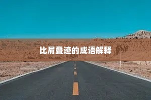 比肩叠迹的成语解释