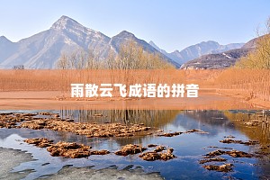 雨散云飞成语的拼音