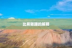 比肩随踵的解释