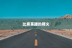 比肩系踵的释义