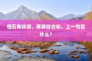 怪石奔秋涧，寒藤挂古松。上一句是什么？