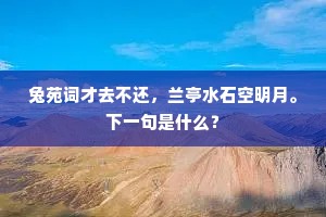 兔苑词才去不还，兰亭水石空明月。下一句是什么？