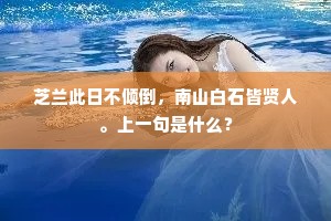 芝兰此日不倾倒，南山白石皆贤人。上一句是什么？