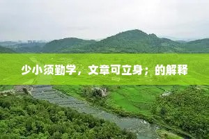 少小须勤学，文章可立身；的解释