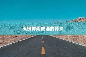 纵横捭阖成语的释义