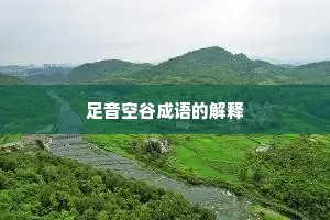 足音空谷成语的解释
