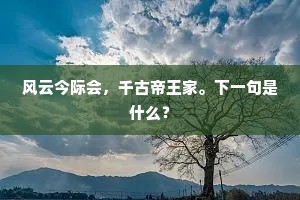 风云今际会，千古帝王家。下一句是什么？