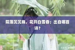 院落沉沉晓，花开白雪香；出自哪首诗？