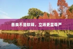 善良不是软弱，立场更显尊严