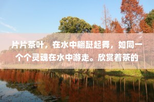 片片茶叶，在水中翩跹起舞，如同一个个灵魂在水中游走。欣赏着茶的舞姿，倾听着怀旧的音乐，过去的时光仿佛又回到了眼前。