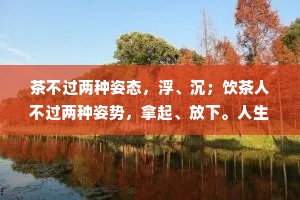 茶不过两种姿态，浮、沉；饮茶人不过两种姿势，拿起、放下。人生如茶，沉时坦然，浮时淡然，拿得起也需要放得下
