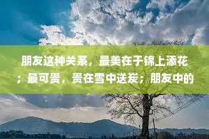 朋友这种关系，最美在于锦上添花；最可贵，贵在雪中送炭；朋友中的极品，便如好茶，淡而不涩，清香但不扑鼻，缓缓飘来，似水长流