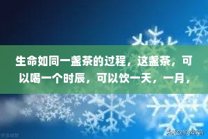 生命如同一盏茶的过程，这盏茶，可以喝一个时辰，可以饮一天，一月，一年，也可以品一生