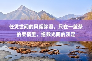 任凭世间的风烟弥漫，只在一盏茶的柔情里，细数光阴的淡定