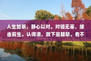 人生如茶，静心以对。对错无辜，缘由前生。认得清，放下是聪明。看不透，一场梦无痕。应观法界性，一切惟心造。你来世界，请安住世界