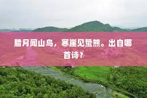 腊月闻山鸟，寒崖见蛰熊。出自哪首诗？