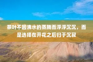 茶叶不因沸水的蒸腾而浮浮沉沉，而是选择在开花之后归于沉寂