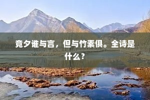 竟夕谁与言，但与竹素俱。全诗是什么？