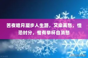 苦夜暗月凝步人生路，又染离愁，惶恐时分，惟有举杯自消愁