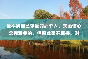 爱不到自己挚爱的那个人，失落伤心总是难免的，但愿此事不再提，时间过了一切都会更好