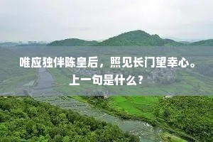 唯应独伴陈皇后，照见长门望幸心。上一句是什么？