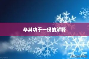 毕其功于一役的解释