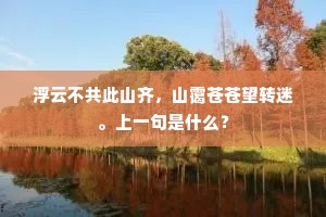 浮云不共此山齐，山霭苍苍望转迷。上一句是什么？