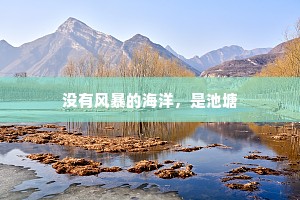 没有风暴的海洋，是池塘