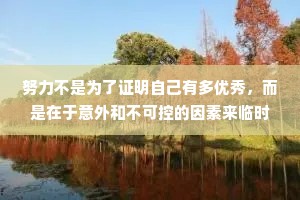 努力不是为了证明自己有多优秀，而是在于意外和不可控的因素来临时，那些平常所努力积淀的涵养和能力，可以成为我们抗衡一切风雨的底气