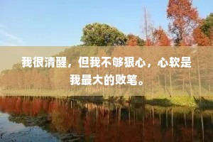我很清醒，但我不够狠心，心软是我最大的败笔。