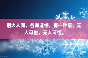 烟火人间，各有遗憾，有一种累，无人可说，无人可懂。