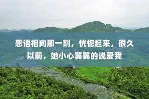 恶语相向那一刻，恍惚起来，很久以前，她小心翼翼的说爱我