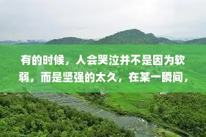 有的时候，人会哭泣并不是因为软弱，而是坚强的太久，在某一瞬间，突然的奔溃..