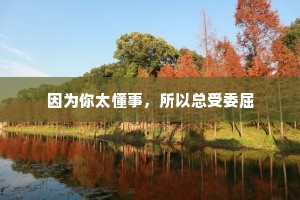 因为你太懂事，所以总受委屈