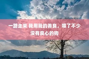 一路走来 我用我的善良，喂了不少没有良心的狗