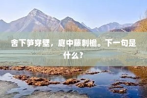 舍下笋穿壁，庭中藤刺檐。下一句是什么？
