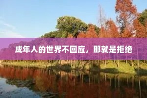 成年人的世界不回应，那就是拒绝