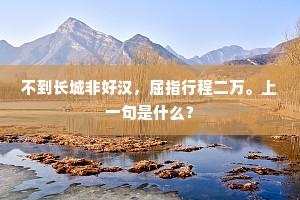 不到长城非好汉，屈指行程二万。上一句是什么？