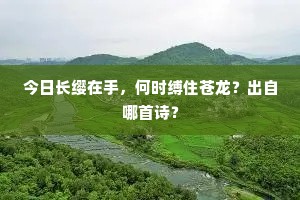 今日长缨在手，何时缚住苍龙？出自哪首诗？