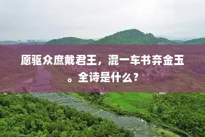 愿驱众庶戴君王，混一车书弃金玉。全诗是什么？